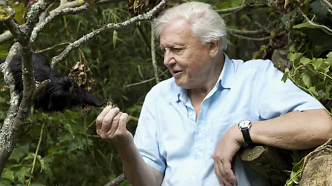 Attenborough's Ark