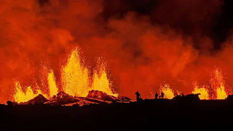 Iceland - A Wild Life