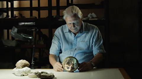Attenborough and the Giant Dinosaur