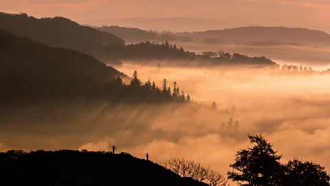 The Lake District: A Wild Year