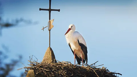 Making Mediterranean: Life Under Siege