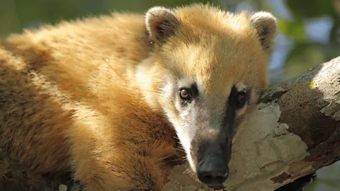 Enduring the Drought