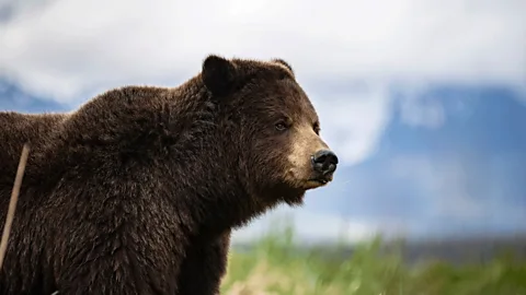 Alaska: Last American Frontier