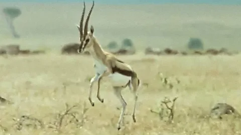 Talking to Strangers