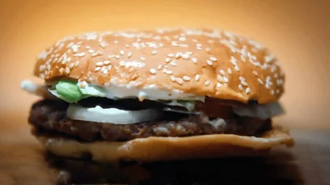 The Secret World of Burgers