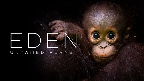 Eden: Untamed Planet