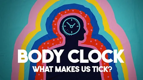 Body Clock: What Makes Us Tick?