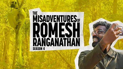 The Misadventures of Romesh Ranganathan