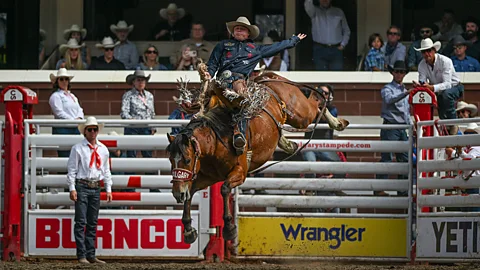 Not by the Playbook, Sportshour, Horsing around