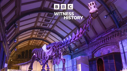 Witness History, Witness History, Discovering the largest dinosaur ever