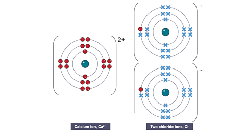 A calcium atom loses two electrons, becoming a positively charged calcium ion (Ca²⁺). These two electrons are transferred to two chlorine atoms. Each chlorine atom then gains one electron, forming a negatively charged chloride ion (Cl⁻). All resulting ions achieve a stable, full outer electron shell. The oppositely charged calcium and chloride ions attract each other strongly, forming an ionic bond.