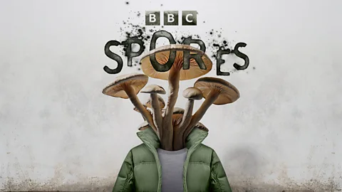 Limelight, Spores: Series 1