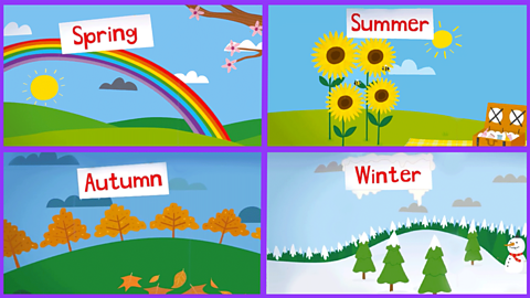 A cartoon grid of four pictures showing spring, summer, autumn and winter