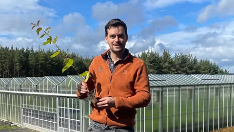 Business Daily, Business Daily, A fresh start for the carbon market?