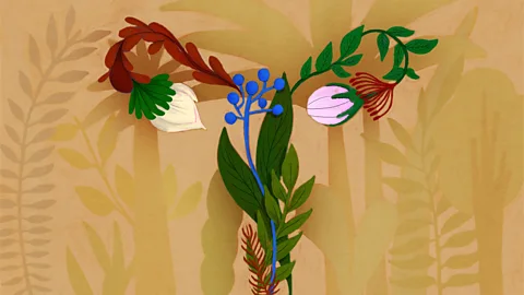 An illustration of leaves and flowers in the shape of the female reproductive system (Credit: Prashanti Aswani)