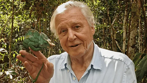 Attenborough and the Giant Egg