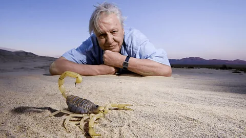 Invasion of the Land