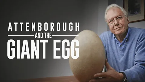 Attenborough and the Giant Egg