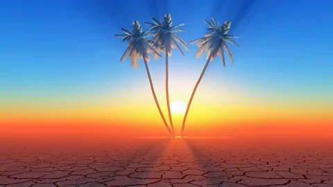 CrowdScience, CrowdScience, Can we turn deserts green?