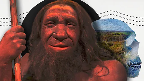 Neanderthal 1: The discovery that rewrote history
