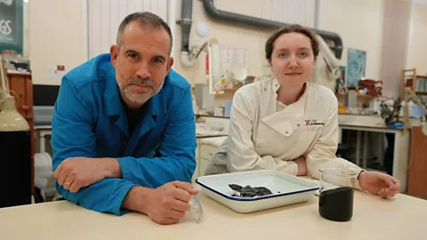 Unwrapping King Tut: Secrets of the Mummy