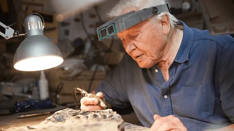 Attenborough and the Sea Dragon