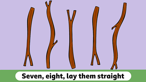 Five sticks in a row with the words seven eight lay them straight below