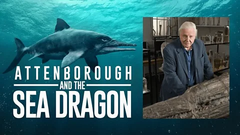 Attenborough and the Sea Dragon