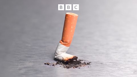 bbc tobacco Tobacco industry