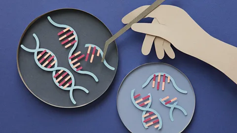 Health Check, Health Check, Behind the Huntington’s disease breakthrough