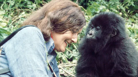 Dian Fossey smiling as she sits beside a young gorilla named Poppy (Credit: Ian Redmond)