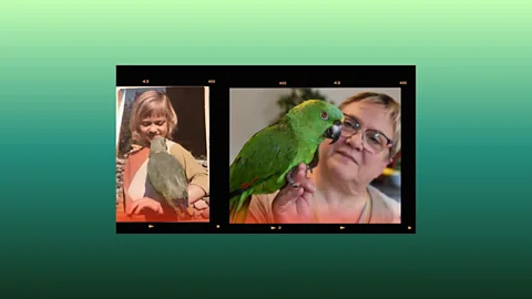 Outlook, Outlook, Julia and Arturo: Why my parrot and I didn't talk for 40 years