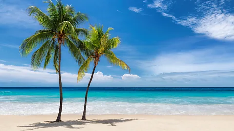 A beach with turquoise-blue water and two palm trees (Credit: Getty Images)