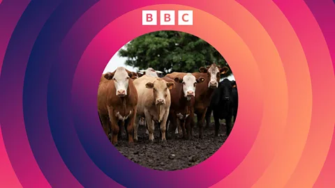 The Climate Question, The Climate Question, Are there any quick fixes to the climate crisis?