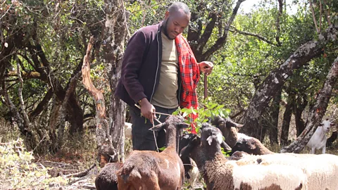 The Documentary Podcast, Shepherd's Eye In The Sky