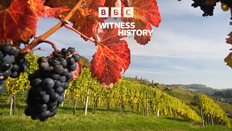 Witness History, Witness History, Austria's wine scandal