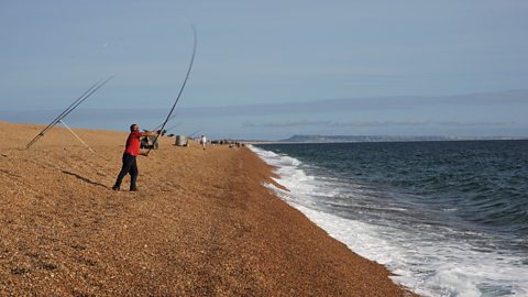 People fishing on Chesil Beach