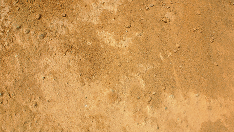 Yellow sandy soil