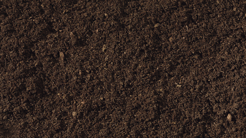 Clay soil