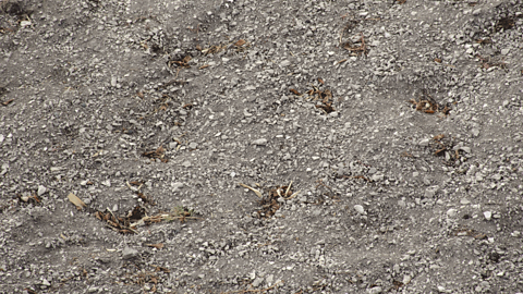 Grey chalky soil