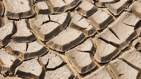 Silty soil
