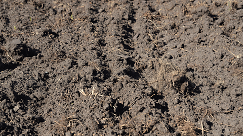 Loamy soil
