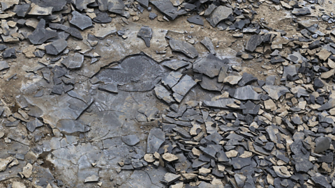 Shale rock - a rock with a dull grey colour and flaky texture. It has split into many thin, flat pieces.