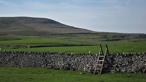 A dry stone wall in an open rural landscape with a wooden stile (ladder) being the only way over it. 