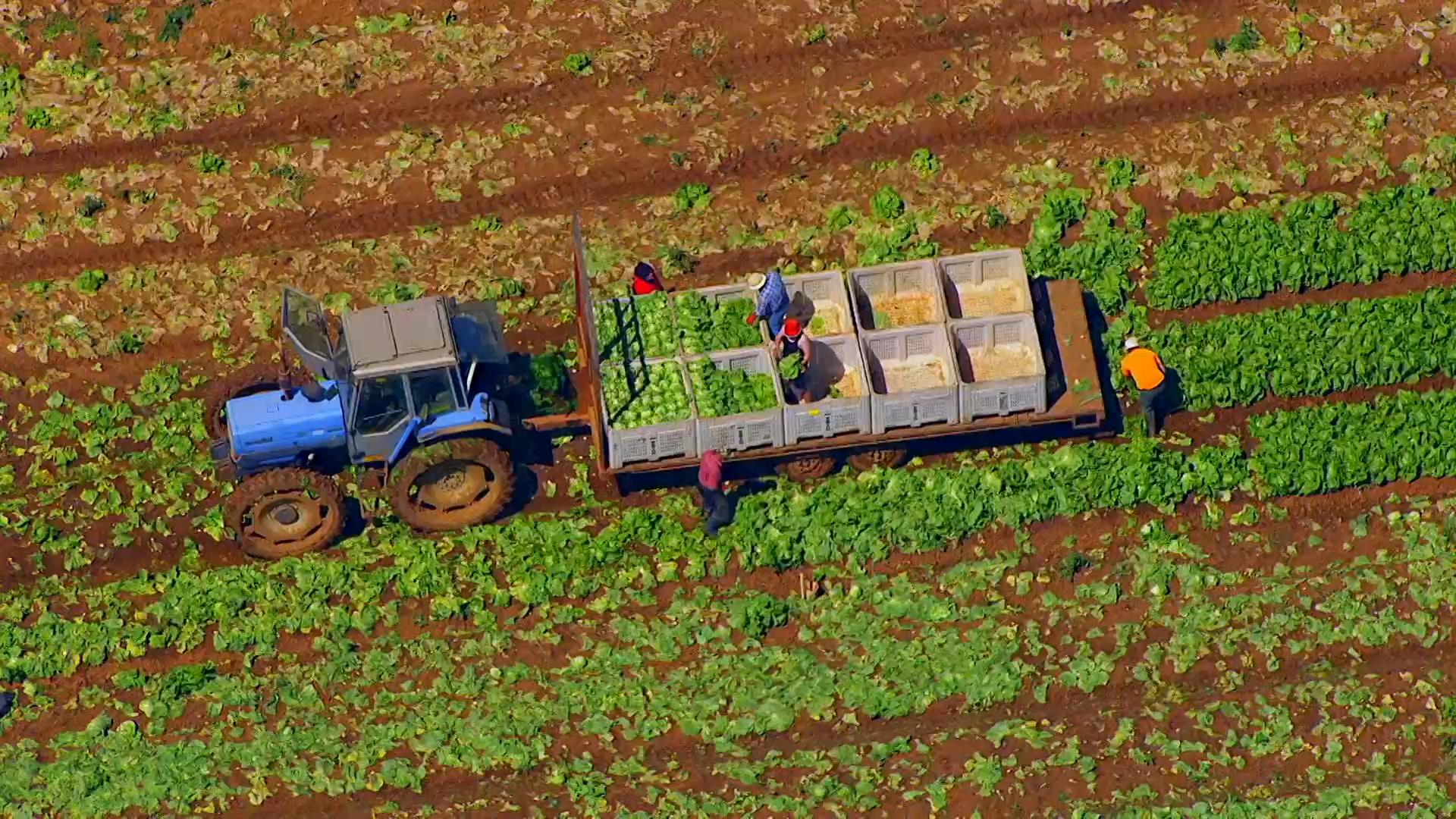How tech is improving the future of farming