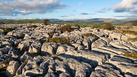 Limestone pavement up close, showing all the cracks and spaces in between on the top of a hill in the Yorkshire landscape