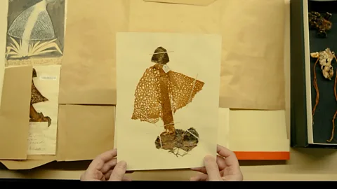 Inside the world's largest collection of fungi