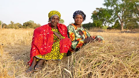 Two women from The Gambia, Nurse Senneh and Binta Ceesay, in colourful printed dresses and hair covering sit together surrounded by the yellow straw of a rice field with trees seen in the background (Credit: Lena Nian)
