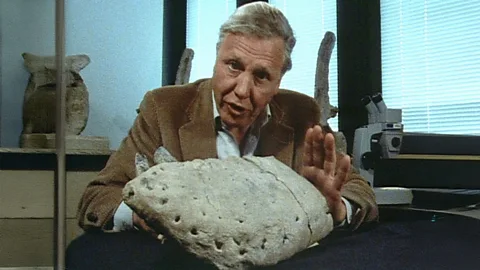 Lost Worlds, Vanished Lives Season 1 Episode 1