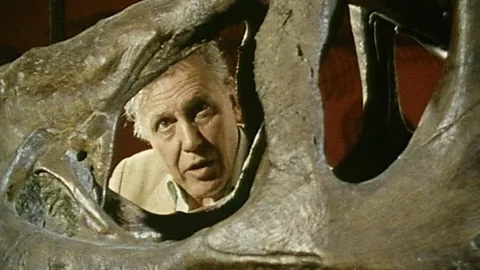 Lost Worlds, Vanished Lives Season 1 Episode 3